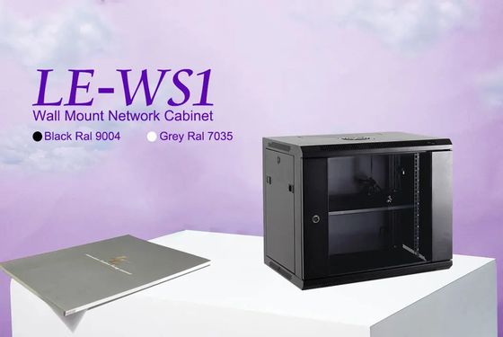 19 Inch Wall Mount Data Center Cabinet with Welded Frame Removable Side Panels